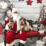 1608142117113
