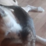 20180716_163626