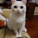 20190601_211017