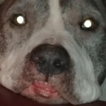 20210120_193125