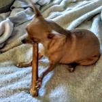 IMG_20180629_142301