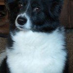 IMG_20201211_133218730