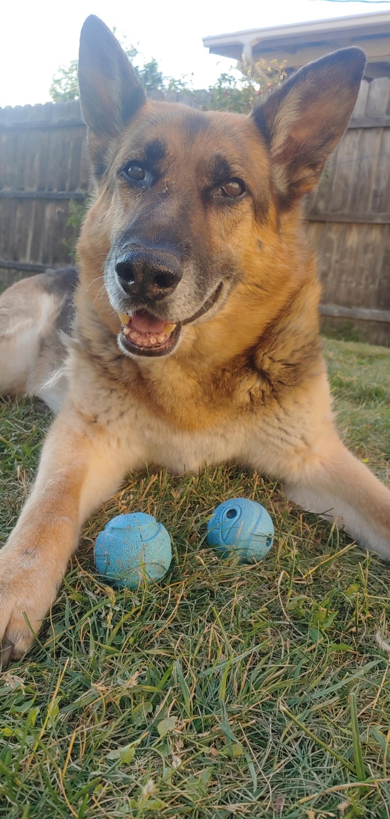 otto
