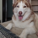 Brinley