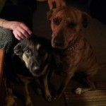 FB_IMG_1665068771862