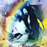 Bradley memorium