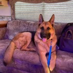 IMG_20231012_123137