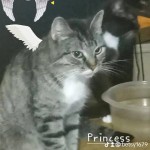 6108b09be80ece98ef01fd34154ca47e_0