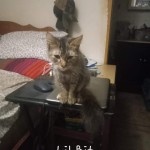 FB_IMG_1718770102751