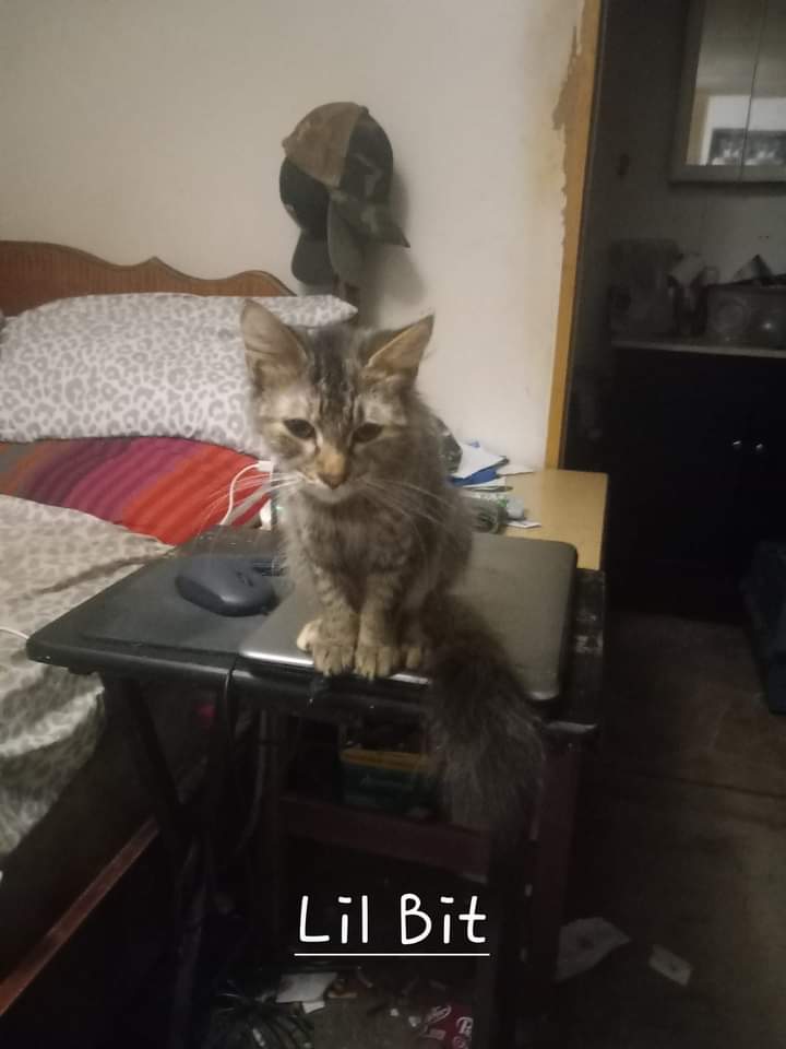 fb_img_1718770102751