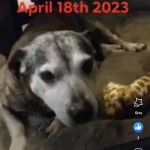 Screenshot_20231101-220441_Facebook