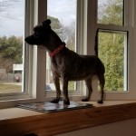 Resized_20180307_170600