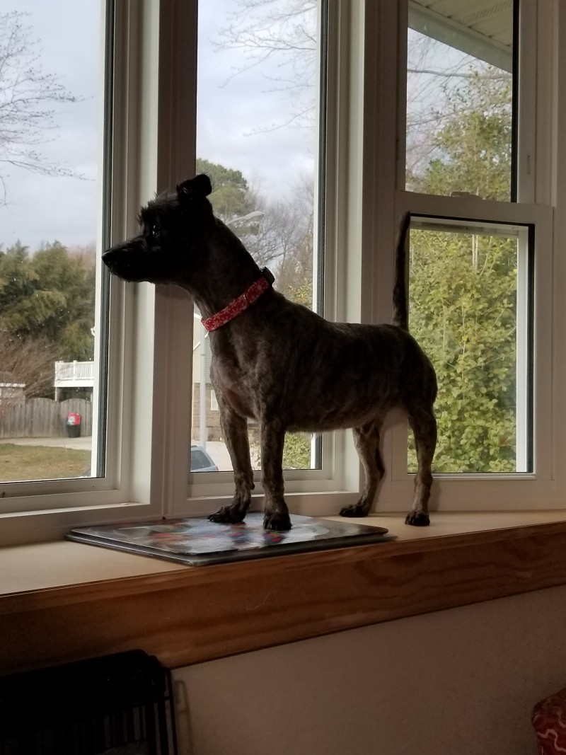 resized_20180307_170600