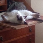 IMG_20240821_171537_465