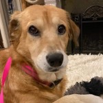 inbound1998496745364878076