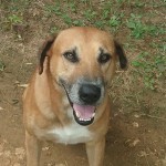 inbound8262145867892132329