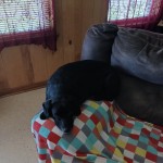 inbound8589164016015760090