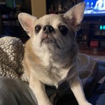 IMG_3165