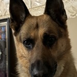IMG_3754