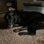 IMG_1641