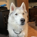 IMG_0178