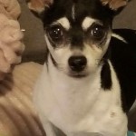 inbound928574528943715230