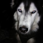 IMG_20180312_152336