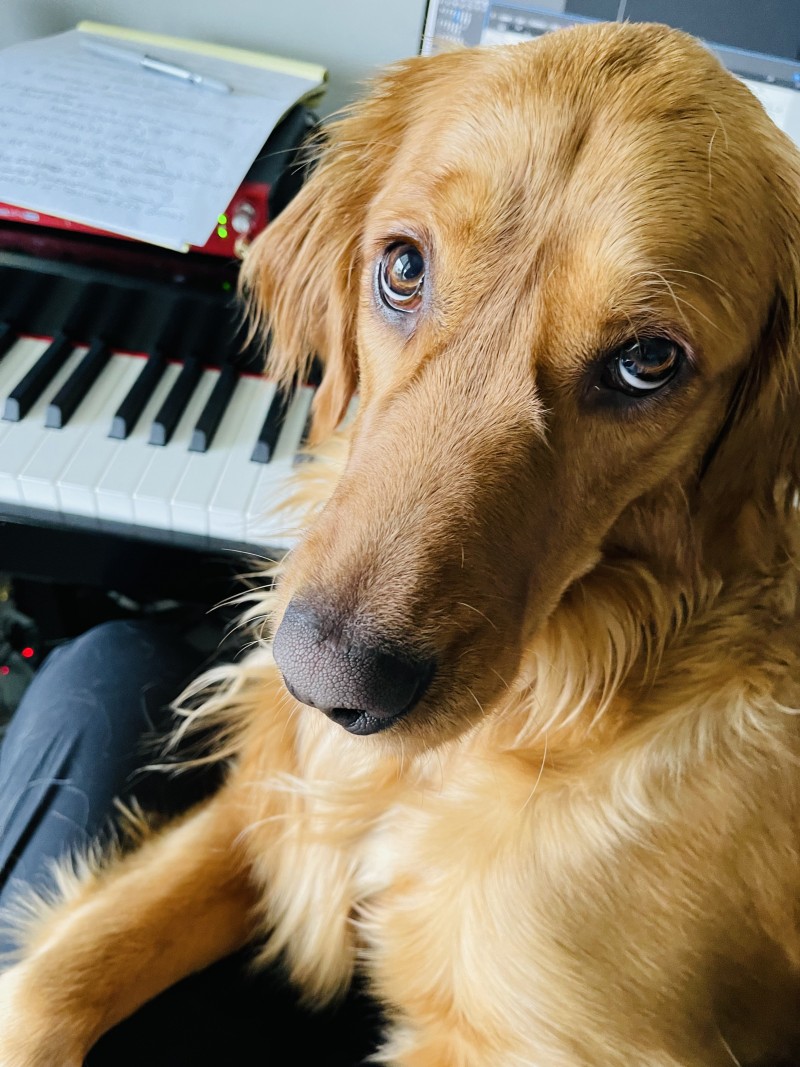 honeypianowork
