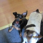 FB_IMG_1606102333744
