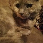 FB_IMG_1606450482468-1-400x533