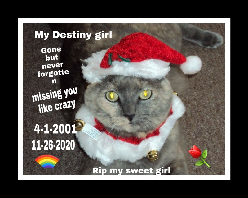picsart_11-28-11-25-59
