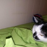 FB_IMG_1639113903839