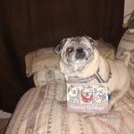 IMG_20221215_195409473