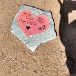 IMG_20230522_101322738_HDR