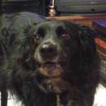 IMG_20121204_2005551_2