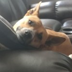 20190831_151805