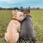 FB_IMG_1610250114510