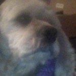 FB_IMG_1610289345690