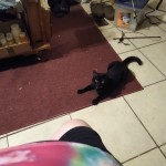 IMG_20210528_202806829_MP