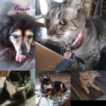 CollageMaker_20211119_133444041