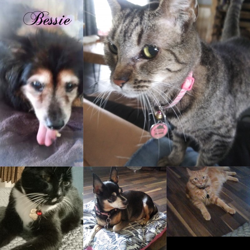 collagemaker_20211119_133444041