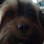 2013-01-31_14-16-22_330