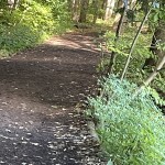 IMG_1925