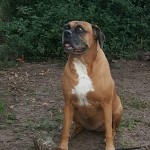 FB_IMG_1514119704314