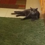 IMAG0054