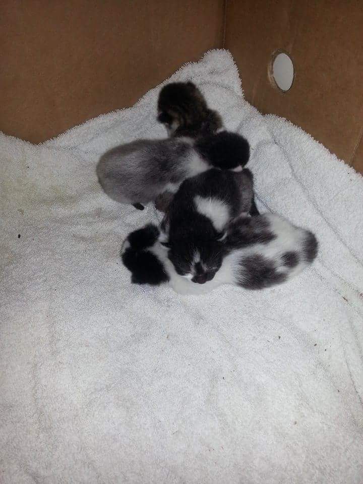 received_1155755724450254
