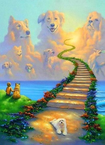 where-my-angel-is