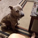 IMG_20201225_205002180