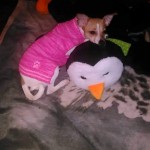 FB_IMG_1609207559807