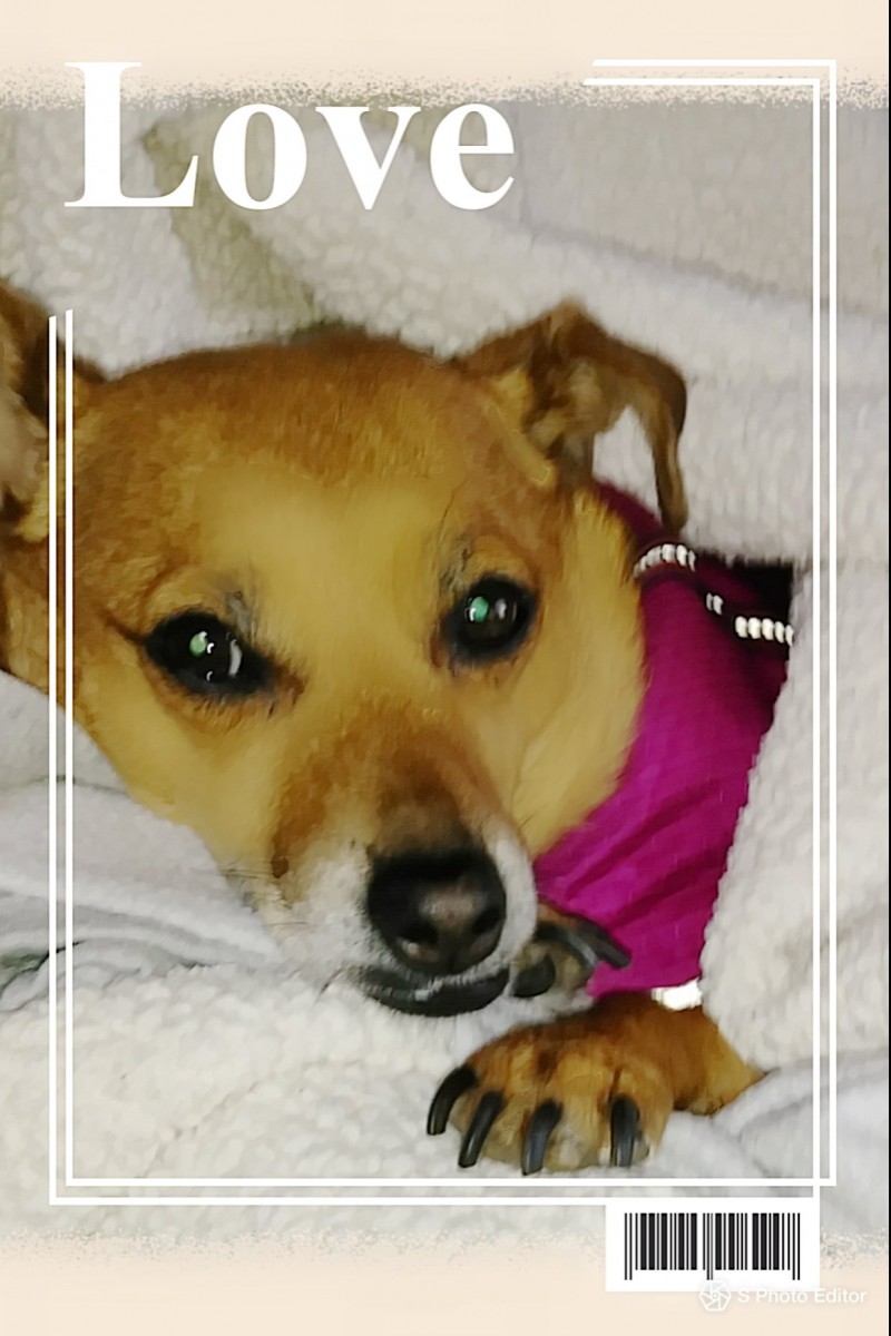 sphotoeditor-20180316_092154